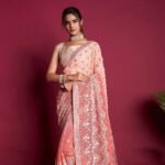 Ladies Saree