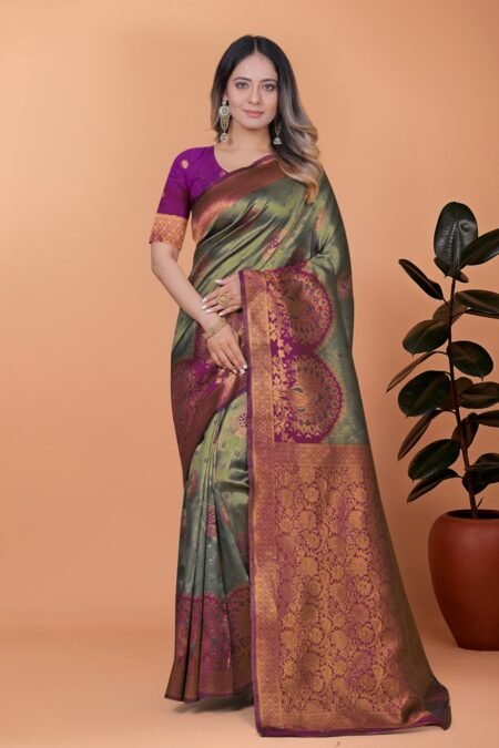 Avantini Regal Grace Banarasi Silk Saree With Unstitched Blouse Piece