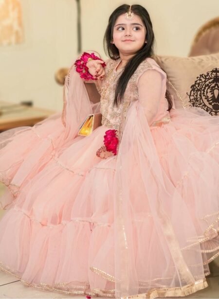 Girl's Butterfly Net Embroidery Lehenga Choli