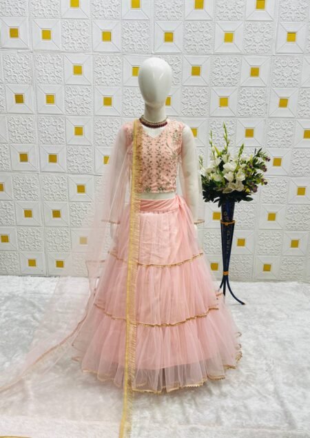 Girl's Butterfly Net Embroidery Lehenga Choli